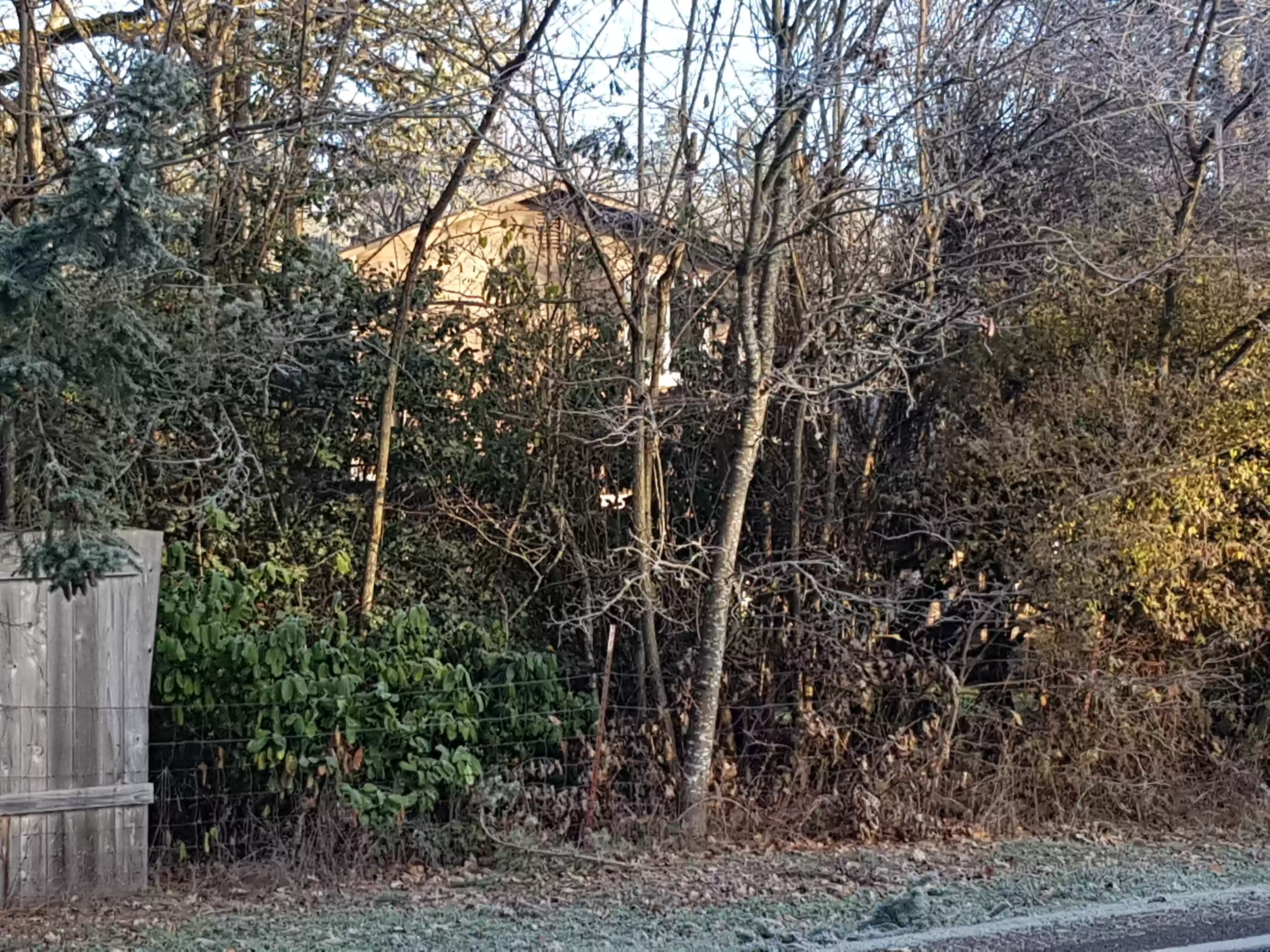 20171211_090130